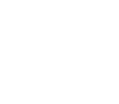 ACP Capital Partners